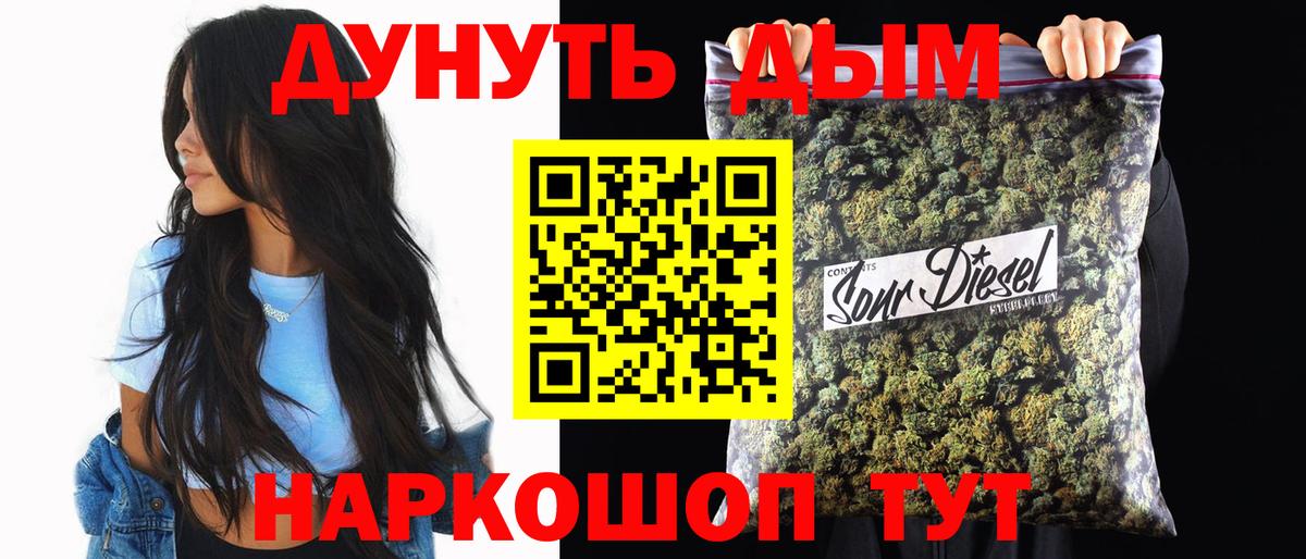 Марихуана сатива Сальск